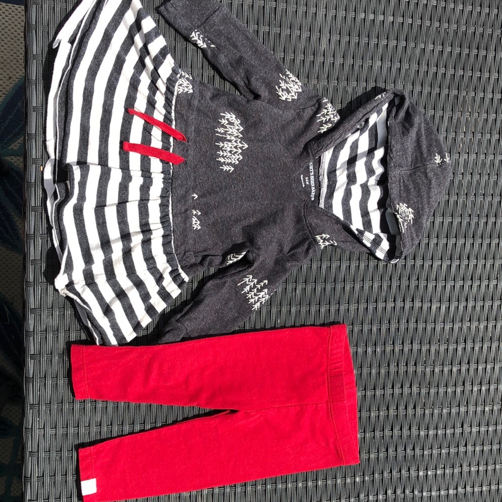 Burt's Bees Baby Gray and Red Striped Hoodie Set